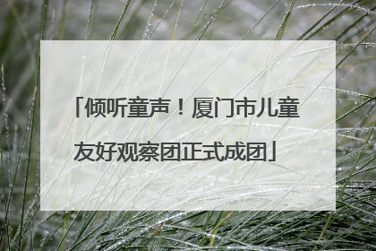 倾听童声！厦门市儿童友好观察团正式成团